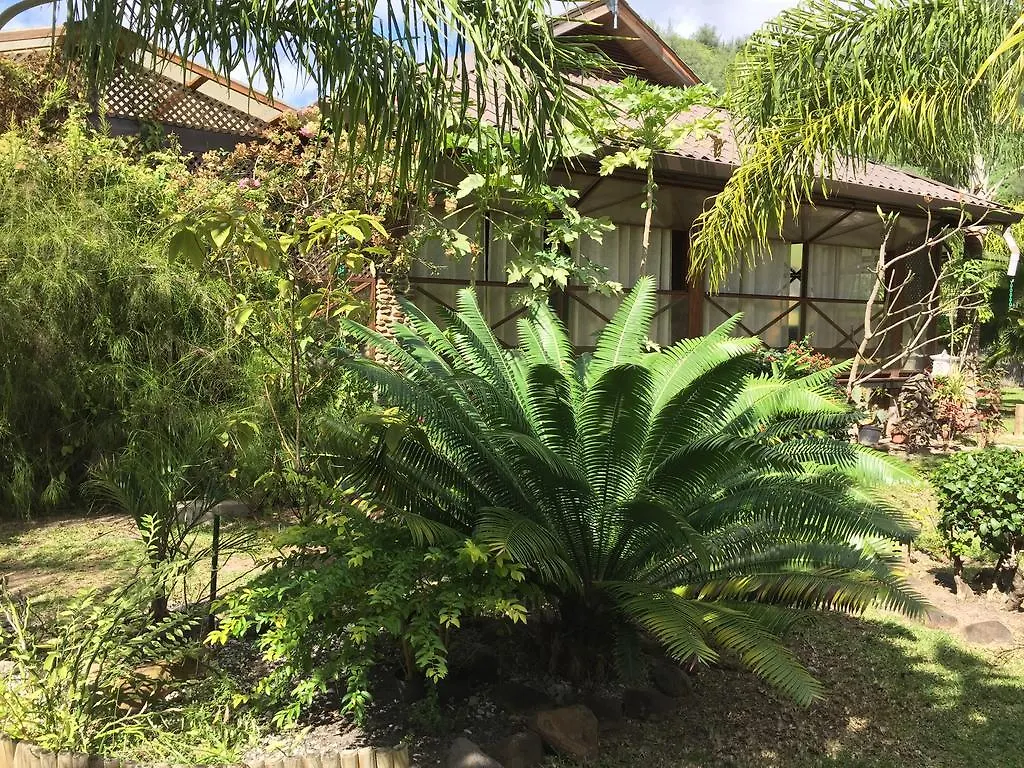 Taoahere Beach House Otel Hauru 0*,  Fransız Polonezyası